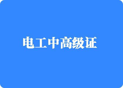 男人和女人插逼逼软件电工中高级证